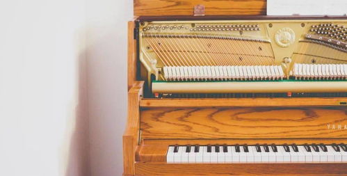 守護(hù)冬日琴音 鋼琴保養(yǎng)實(shí)用小妙招