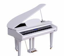 高科利花園專(zhuān)業(yè)運(yùn)鋼琴 鋼琴運(yùn)輸包裝一體化物流貨運(yùn)服務(wù)全解析